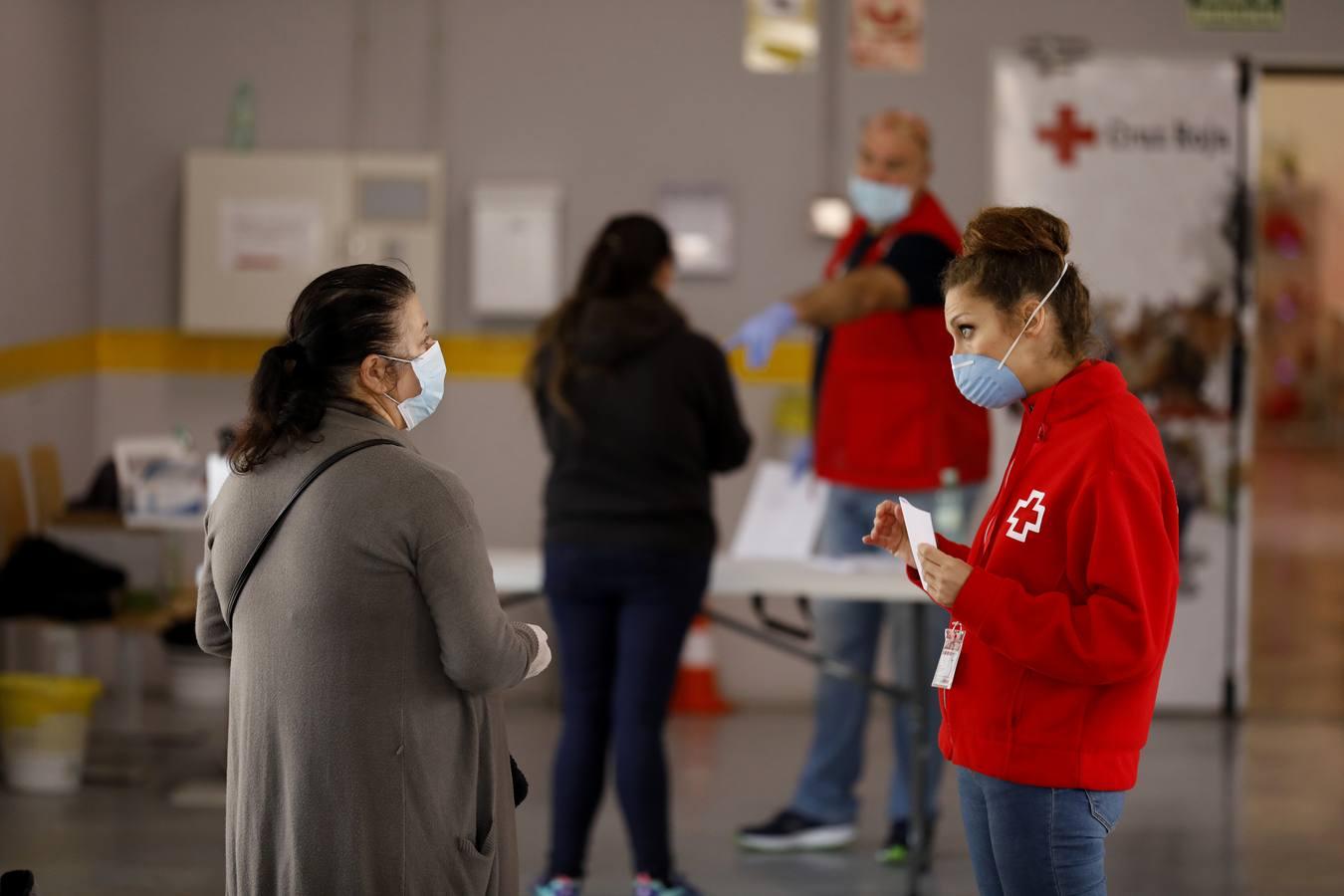 El reparto de vales de alimentos de Cruz Roja de Córdoba, en imágenes