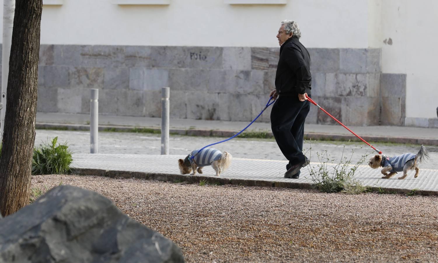 Coronavirus en Córdoba: La calma del confinamiento en Fátima, en imágenes