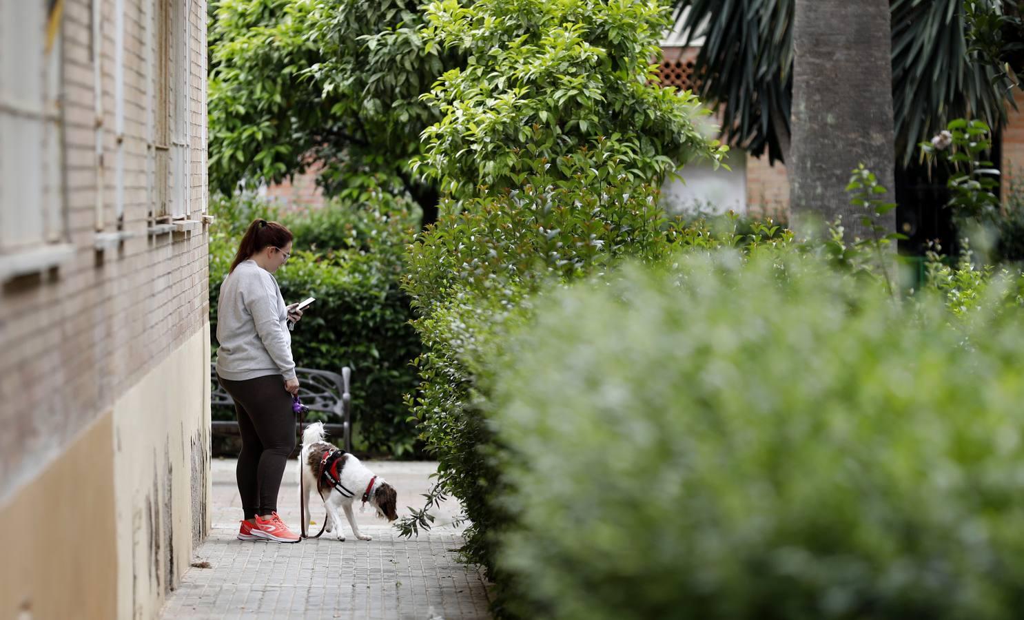 Coronavirus en Córdoba: La calma del confinamiento en Fátima, en imágenes