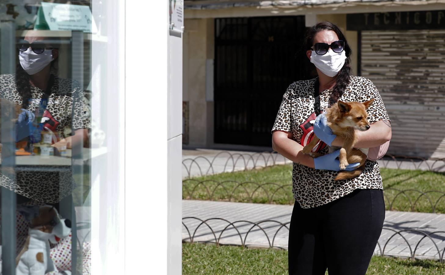 La crisis del coronavirus en el Parque Cruz Conde de Córdoba, en imágenes