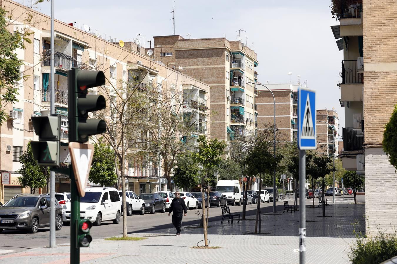 La crisis del coronavirus en el Parque Cruz Conde de Córdoba, en imágenes