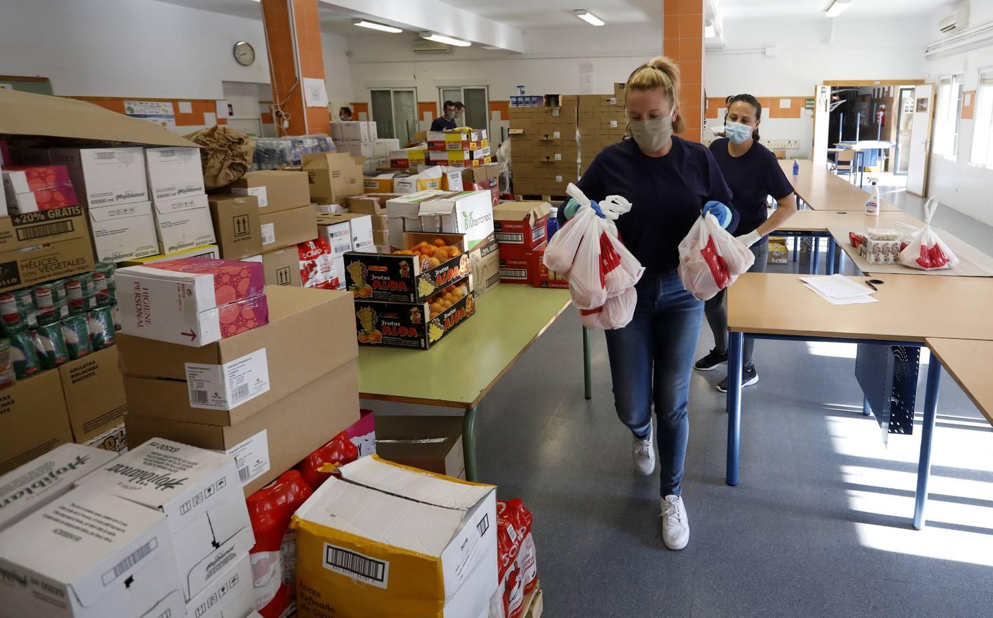 El reparto de comida de &quot;Todos por Córdoba&quot;, en imágenes