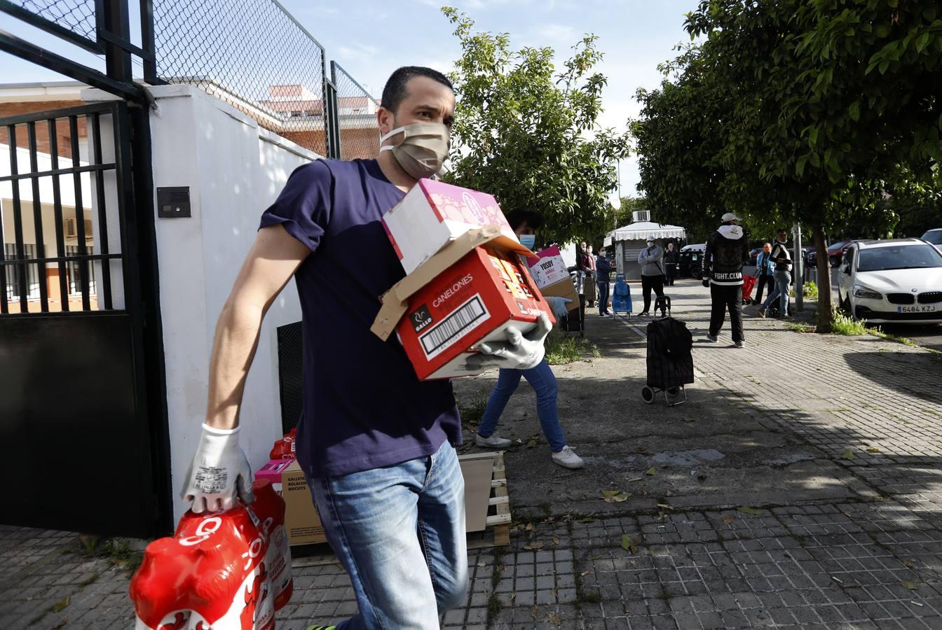 El reparto de comida de &quot;Todos por Córdoba&quot;, en imágenes