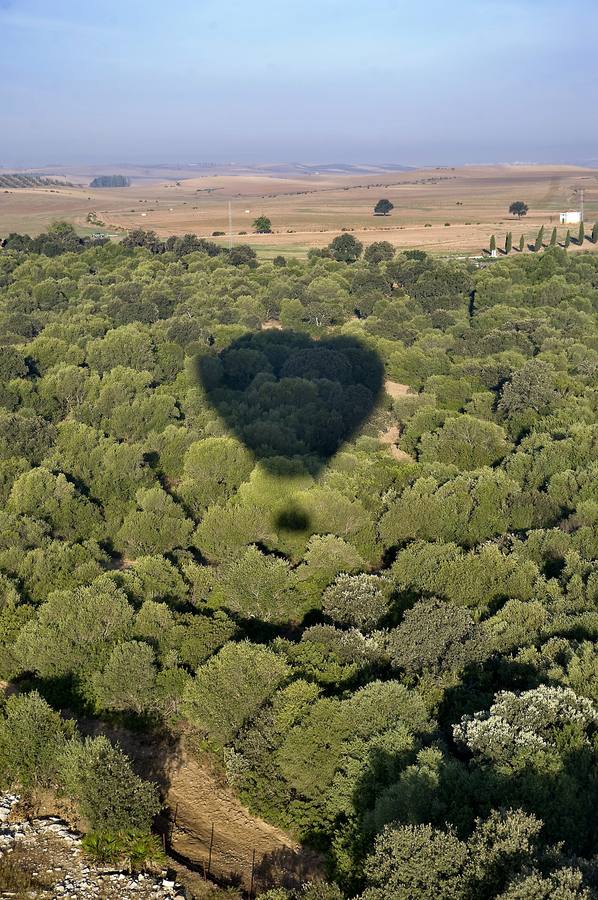 Aniversario del desastre ecológico de Aznalcóllar