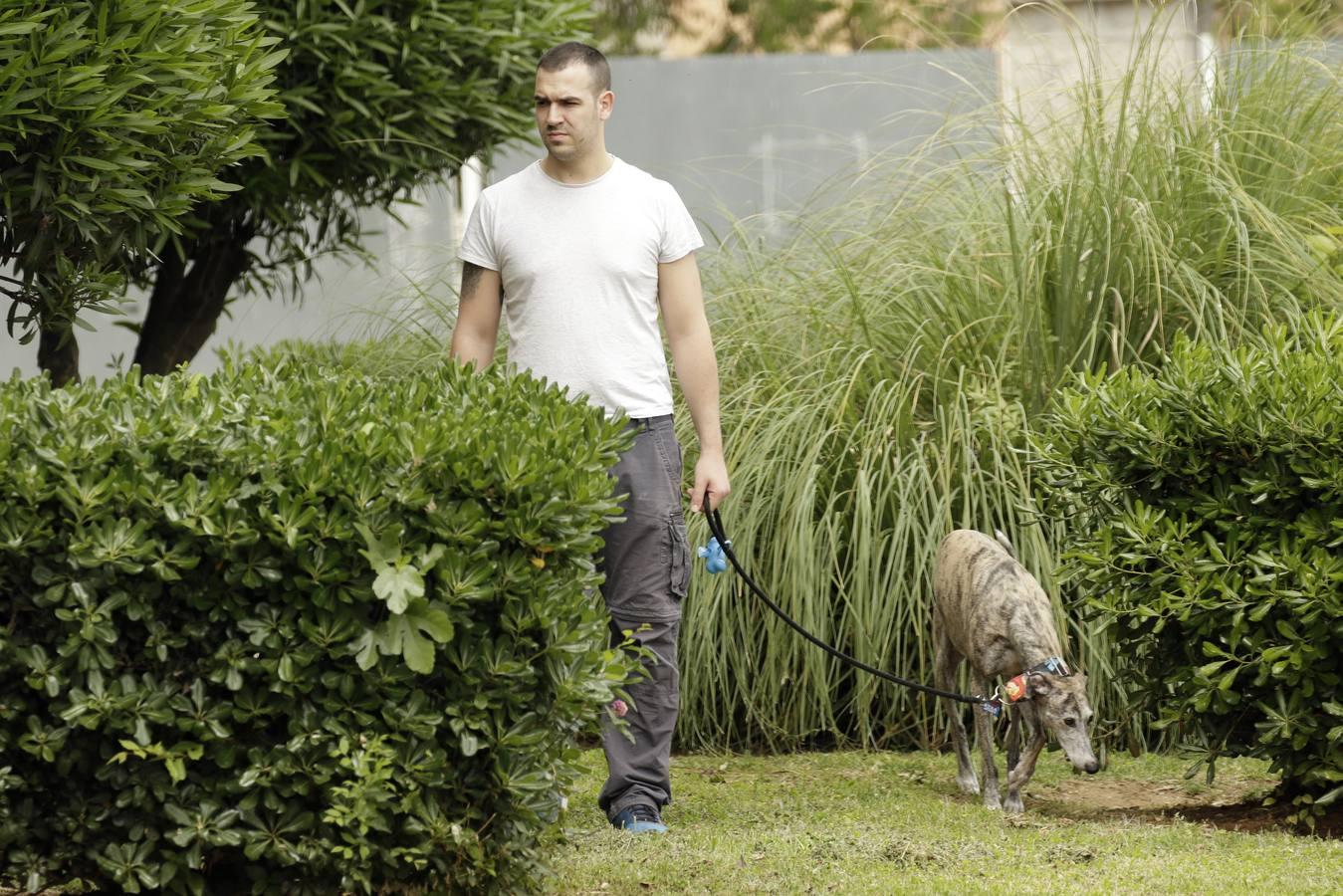 Coronavirus en Sevilla: Así se vive en Montequinto el confinamiento