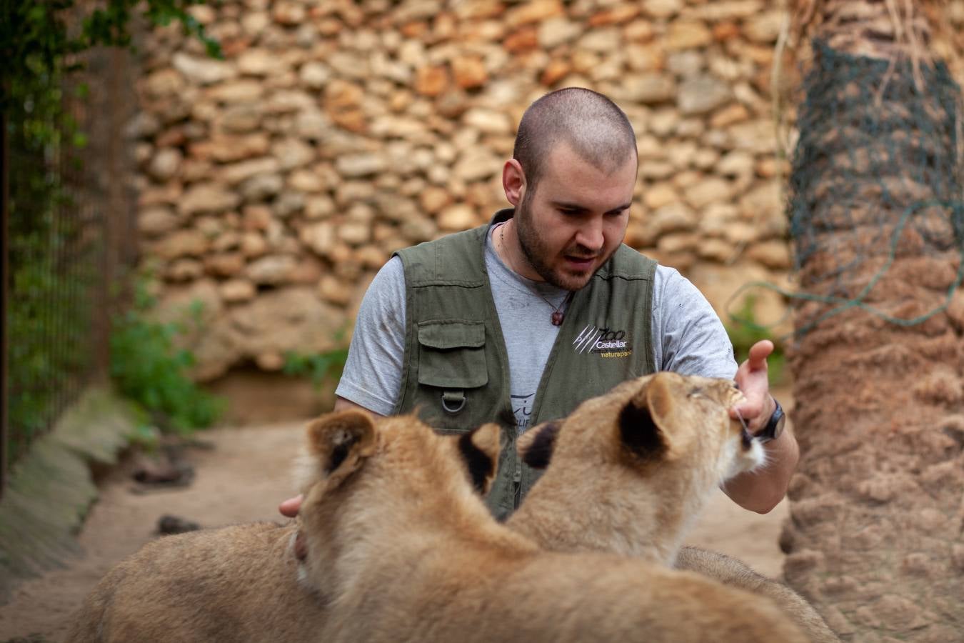 La crisis del coronavirus pone en jaque al centro de animales de Castellar de la Frontera