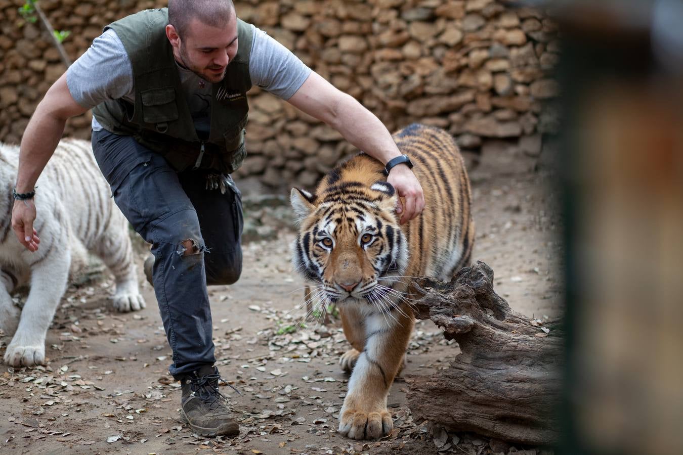 La crisis del coronavirus pone en jaque al centro de animales de Castellar de la Frontera