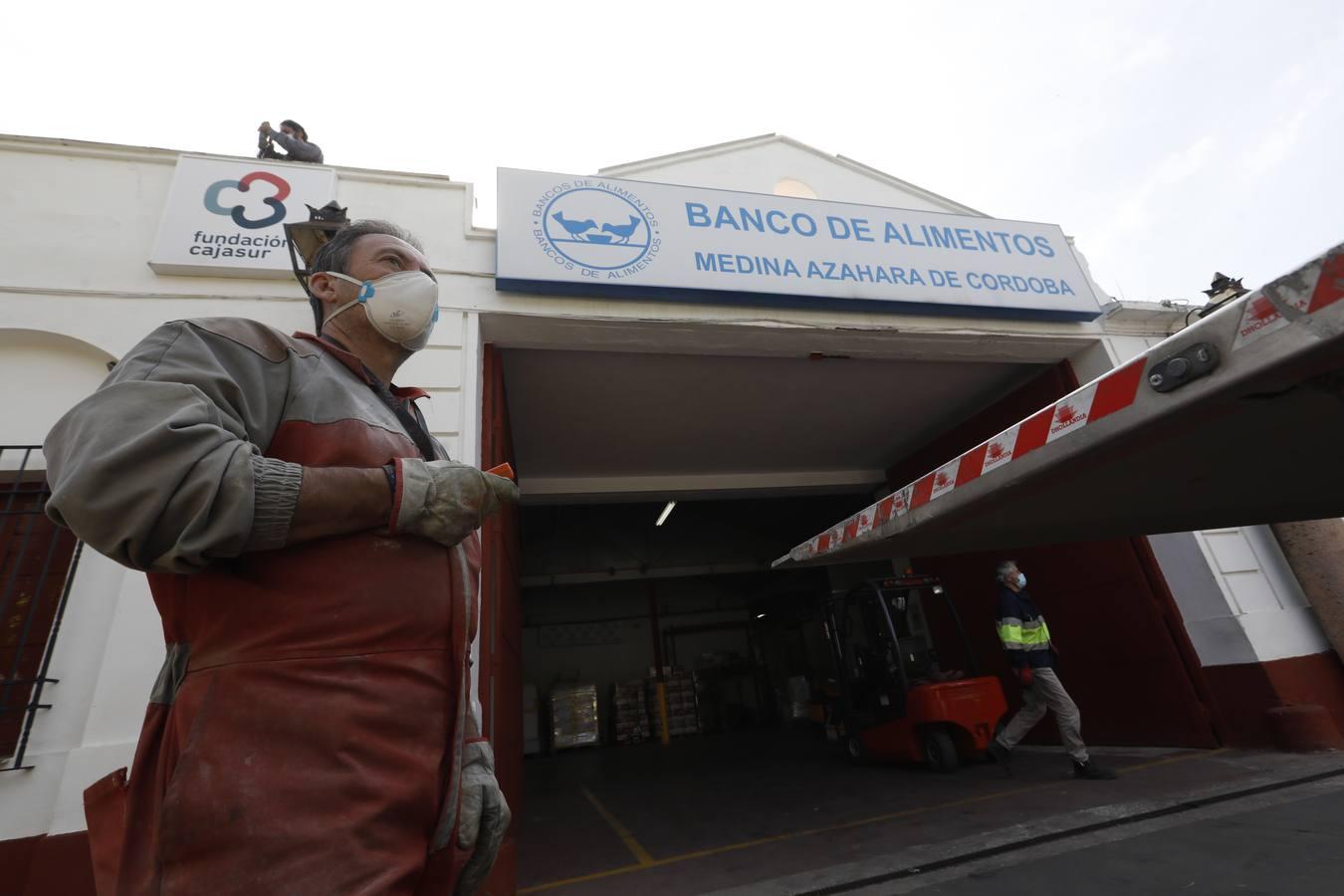 El trabajo del Banco de Alimentos de Córdoba, en imágenes