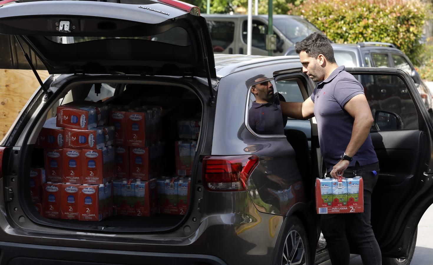 El trabajo del Banco de Alimentos de Córdoba, en imágenes