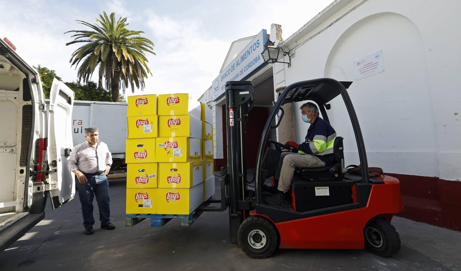 El trabajo del Banco de Alimentos de Córdoba, en imágenes