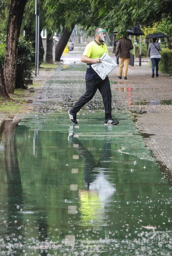 Últimas lluvias de abril