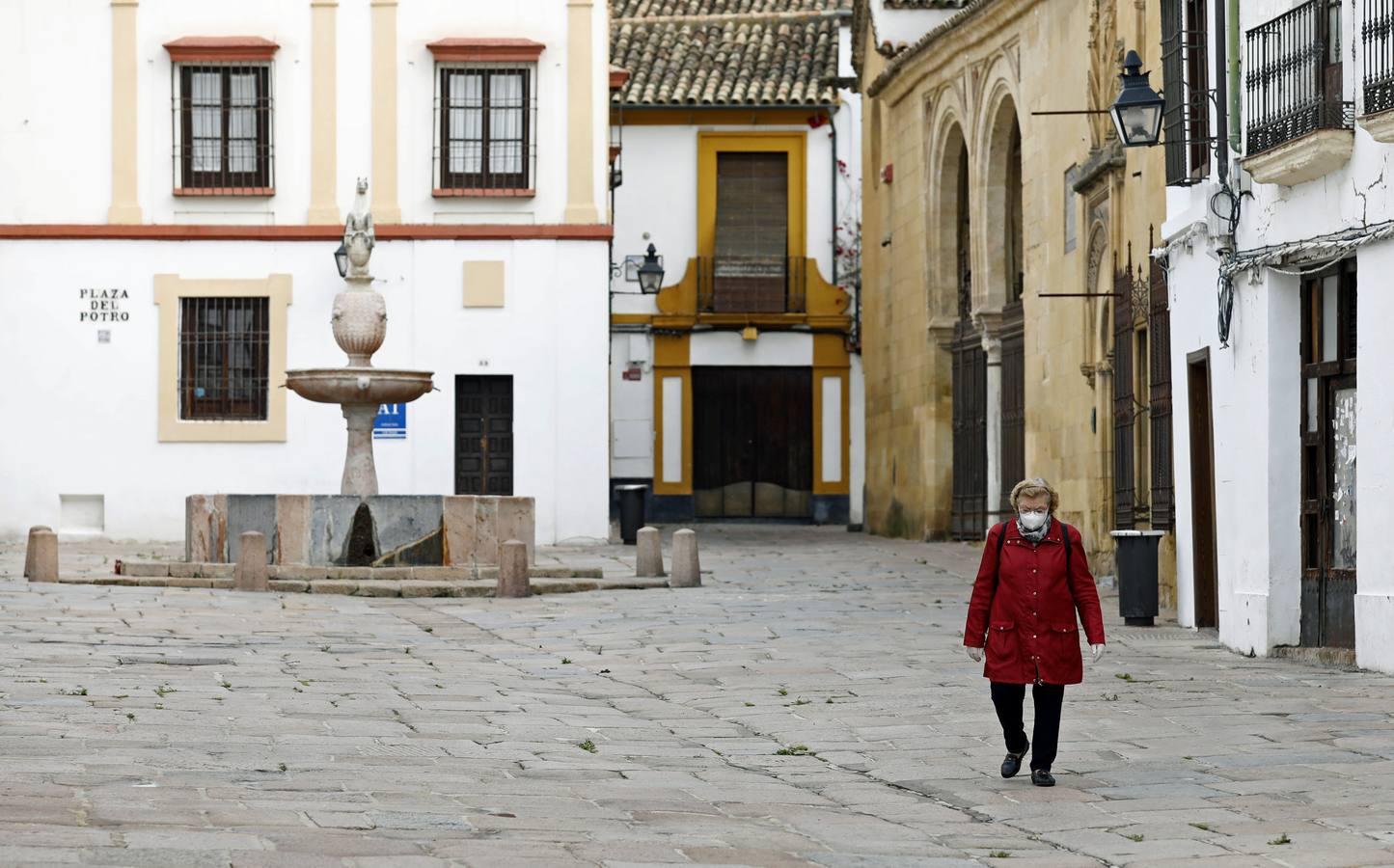 Las de Cruces de Córdoba huérfanas en el Mayo festivo, en imágenes