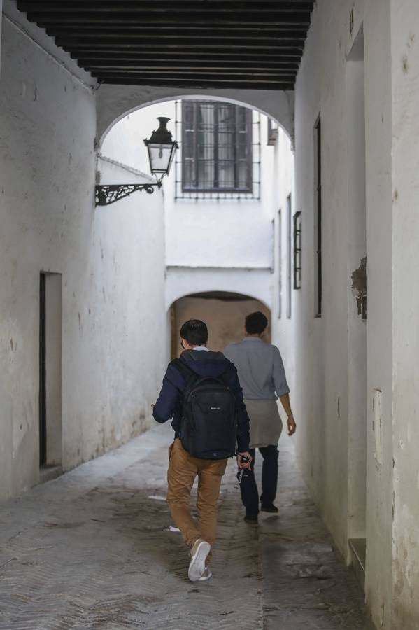 «Desescalada» en Sevilla: zonas monumentales en las que es imposible el distanciamiento social