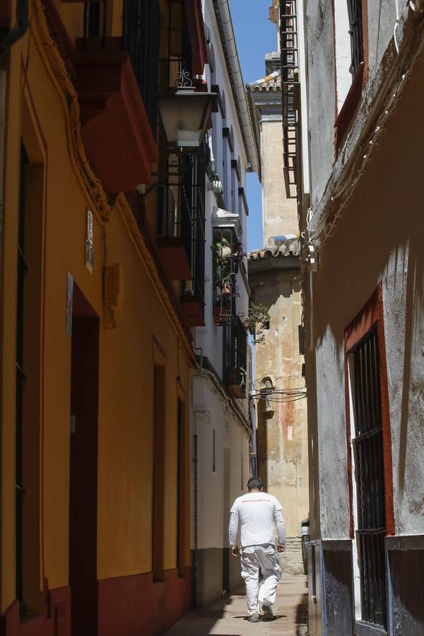 «Desescalada» en Sevilla: zonas monumentales en las que es imposible el distanciamiento social