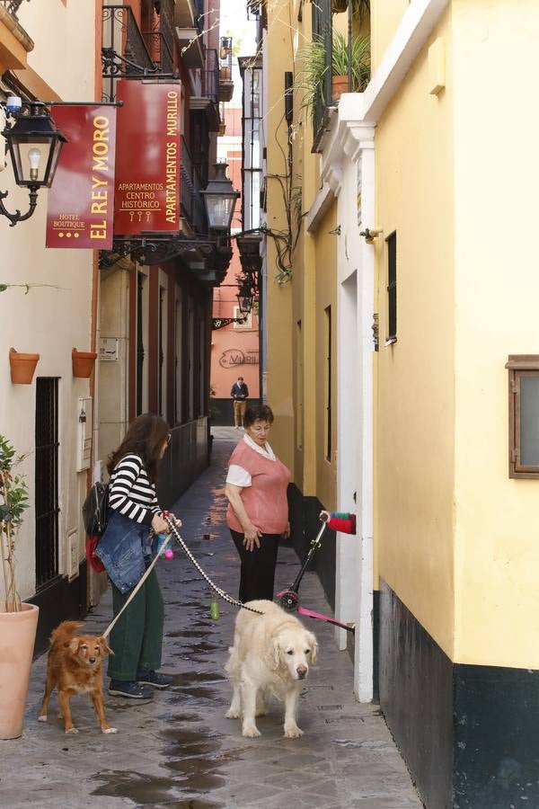 «Desescalada» en Sevilla: zonas monumentales en las que es imposible el distanciamiento social