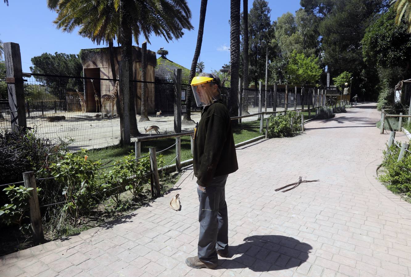 Fotos: El zoo de Jerez en los tiempos del coronavirus