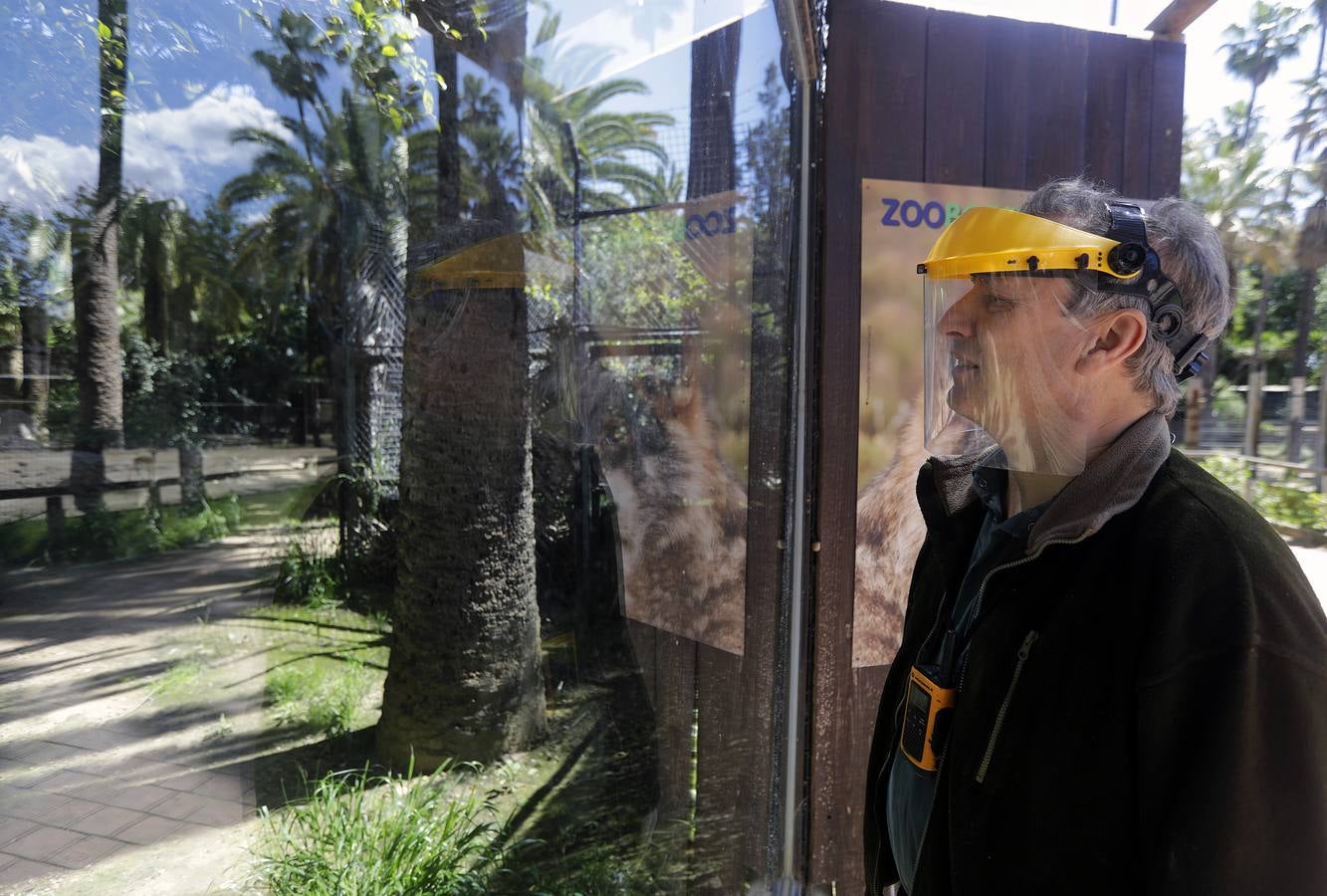 Fotos: El zoo de Jerez en los tiempos del coronavirus