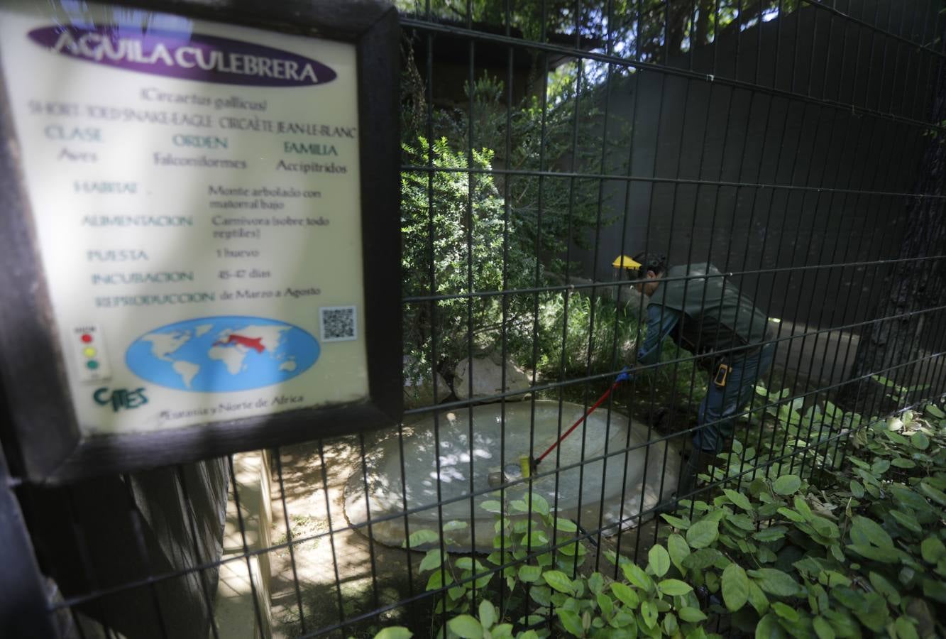 Fotos: El zoo de Jerez en los tiempos del coronavirus