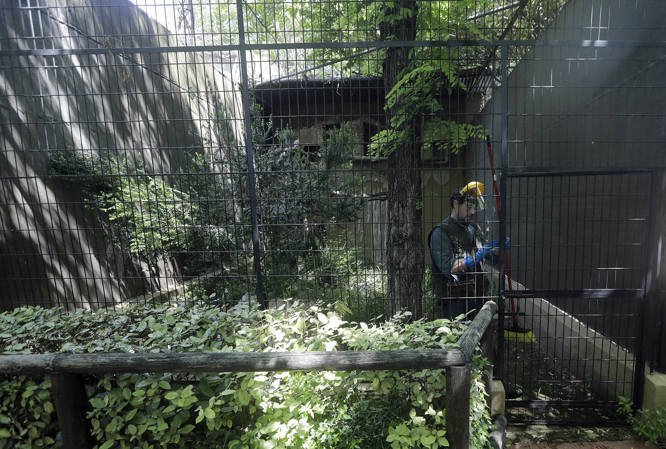 Fotos: El zoo de Jerez en los tiempos del coronavirus