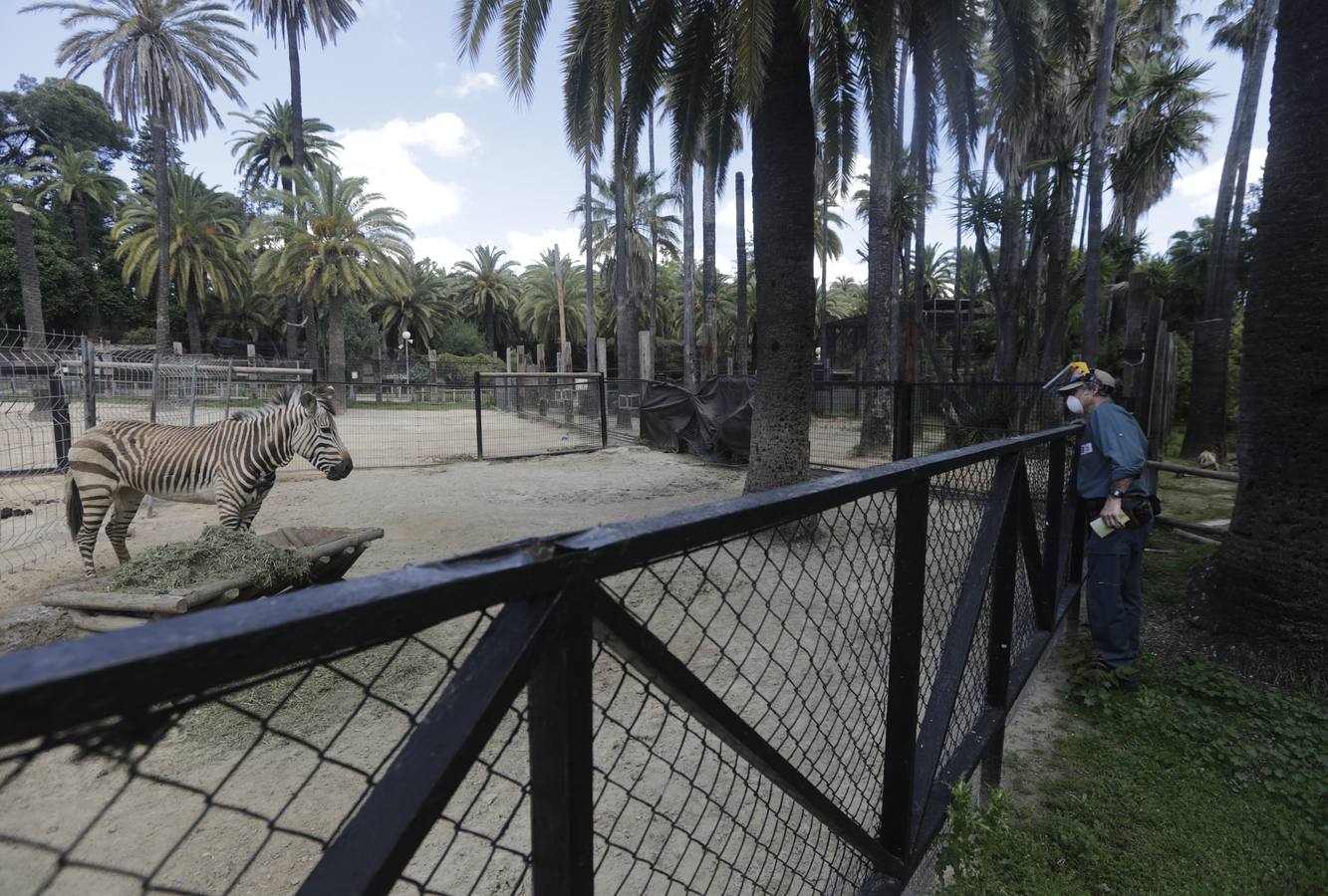 Fotos: El zoo de Jerez en los tiempos del coronavirus