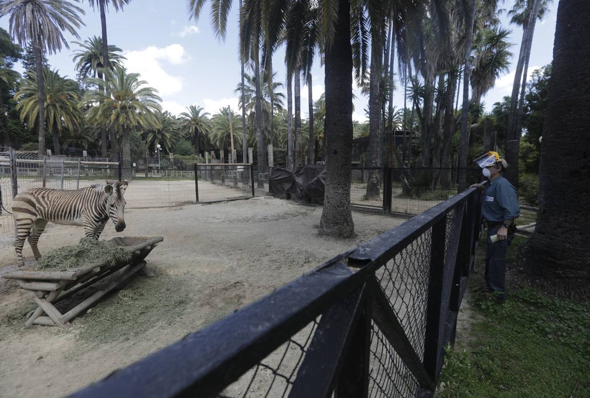 Fotos: El zoo de Jerez en los tiempos del coronavirus