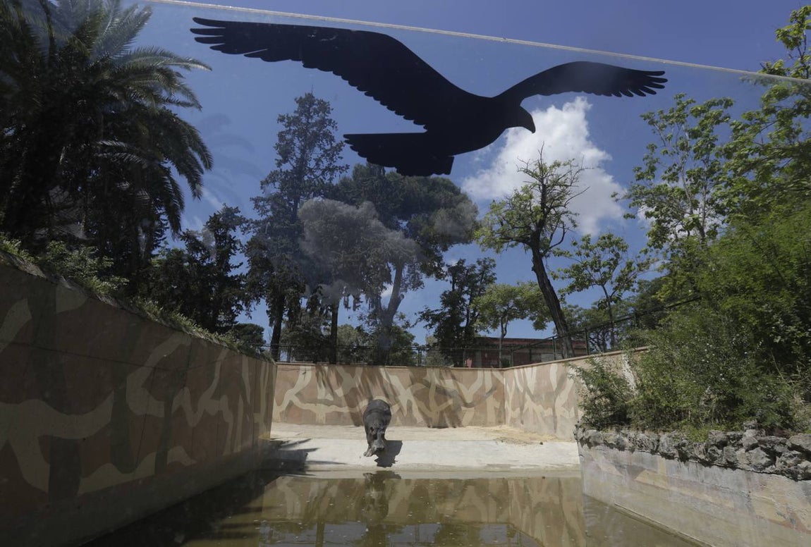 Fotos: El zoo de Jerez en los tiempos del coronavirus