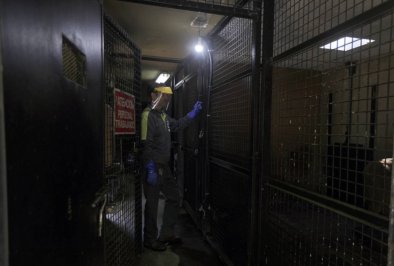 Fotos: El zoo de Jerez en los tiempos del coronavirus