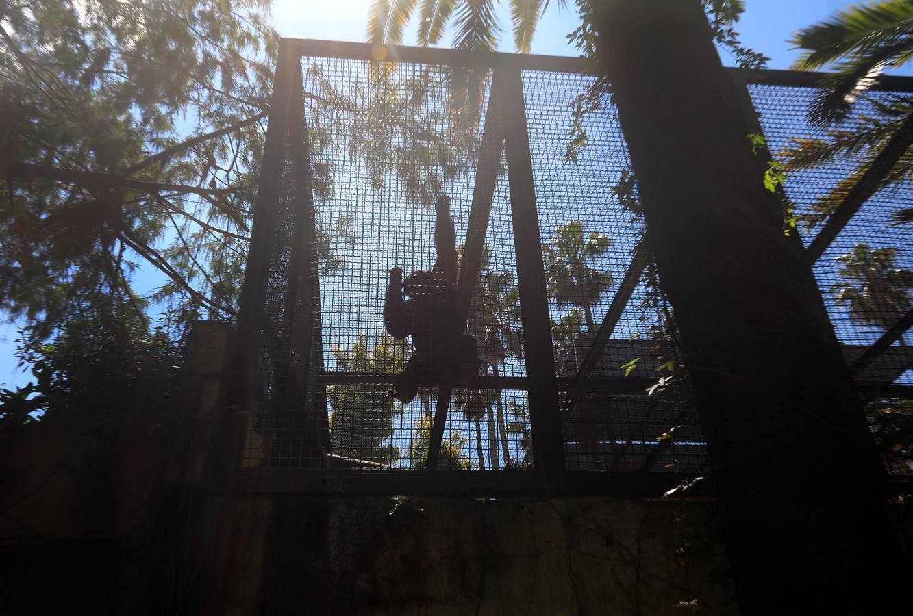 Fotos: El zoo de Jerez en los tiempos del coronavirus