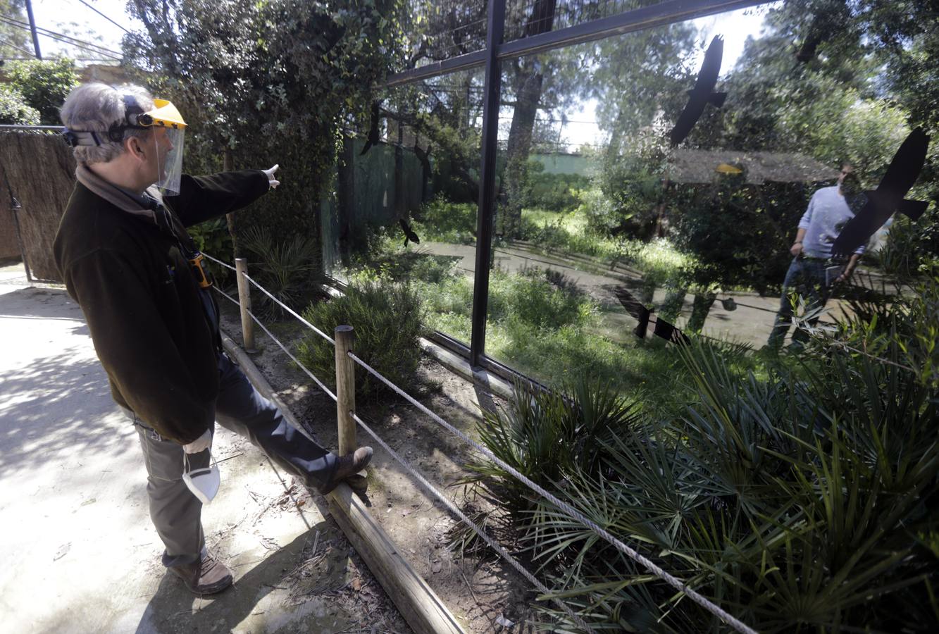 Fotos: El zoo de Jerez en los tiempos del coronavirus