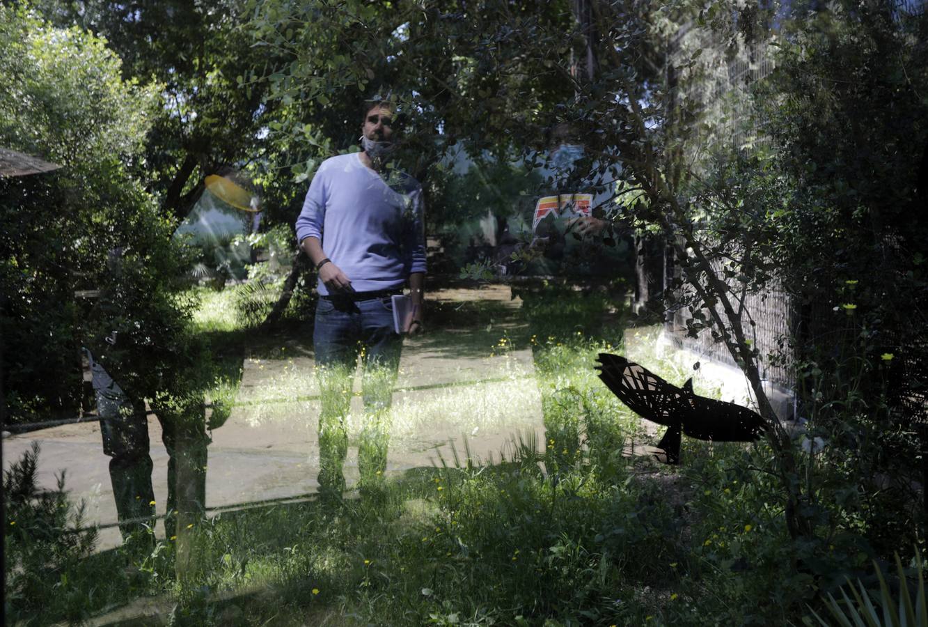 Fotos: El zoo de Jerez en los tiempos del coronavirus