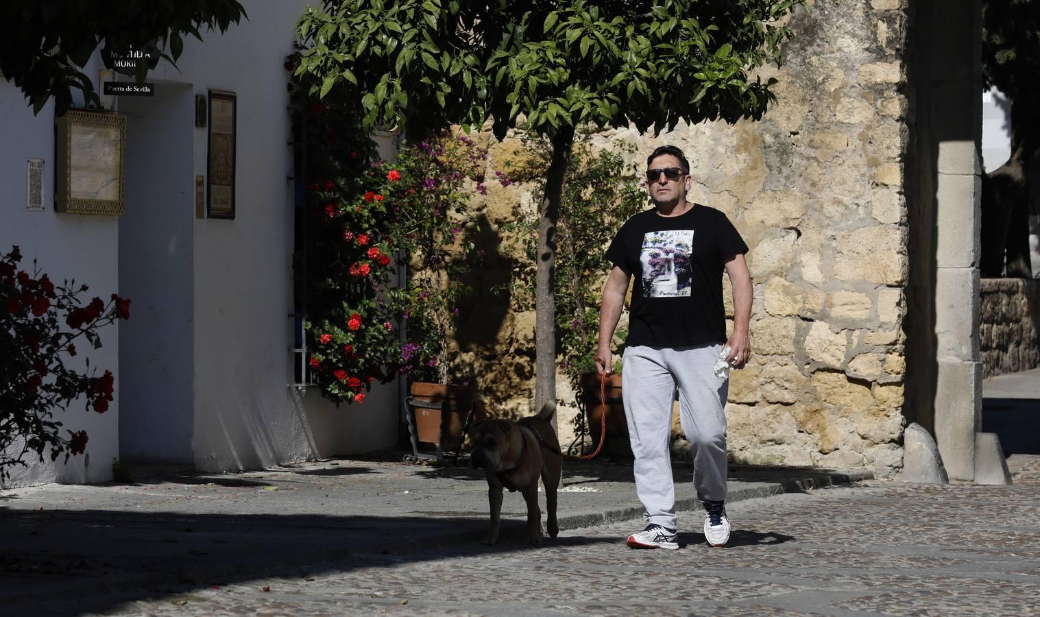 La quietud del Alcázar Viejo de Córdoba, en imágenes