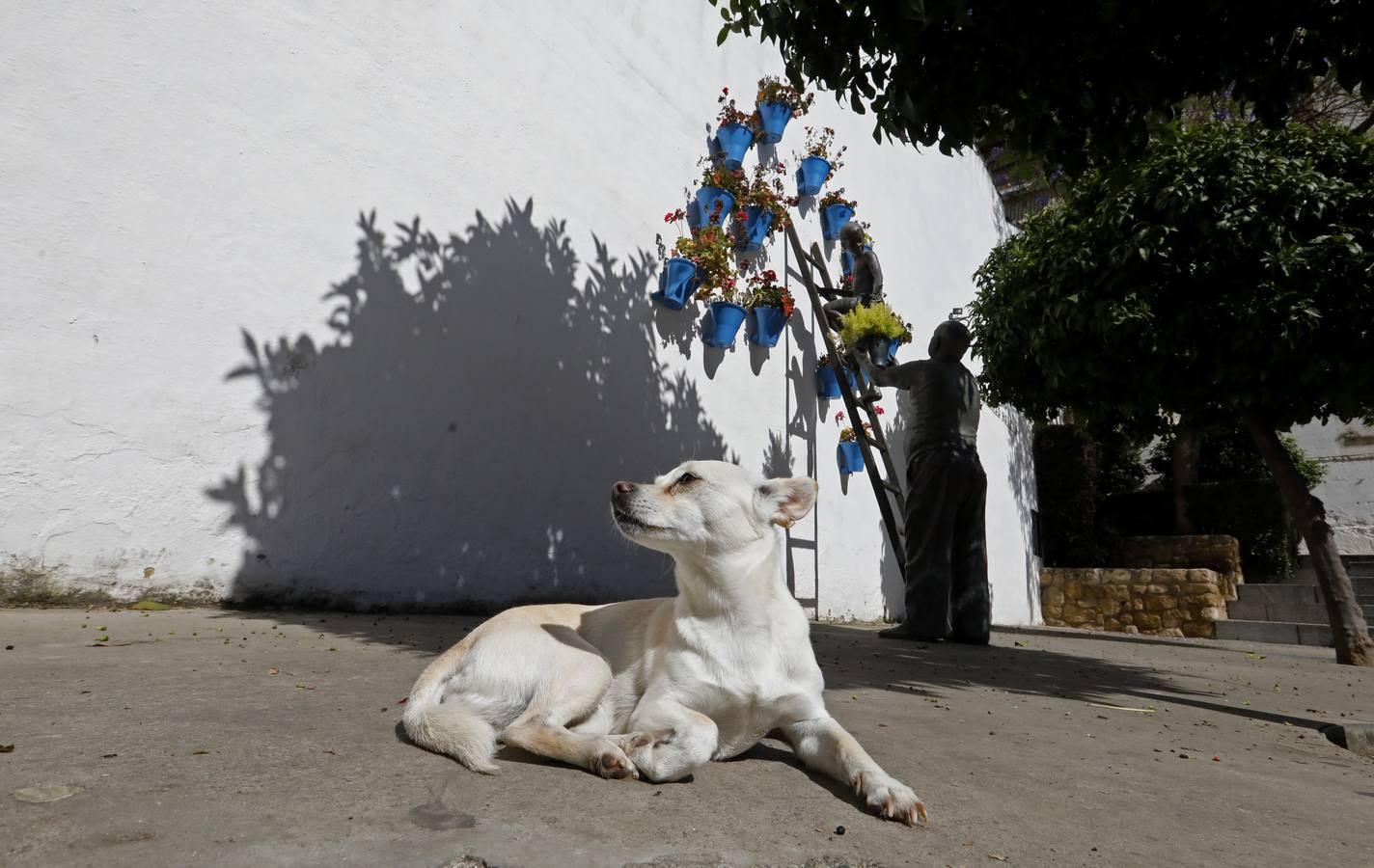 La quietud del Alcázar Viejo de Córdoba, en imágenes