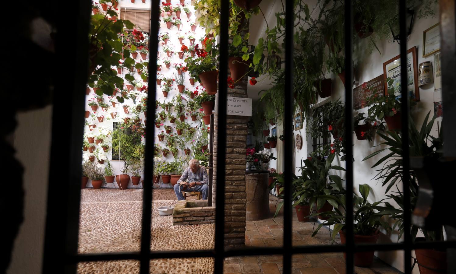 La quietud del Alcázar Viejo de Córdoba, en imágenes