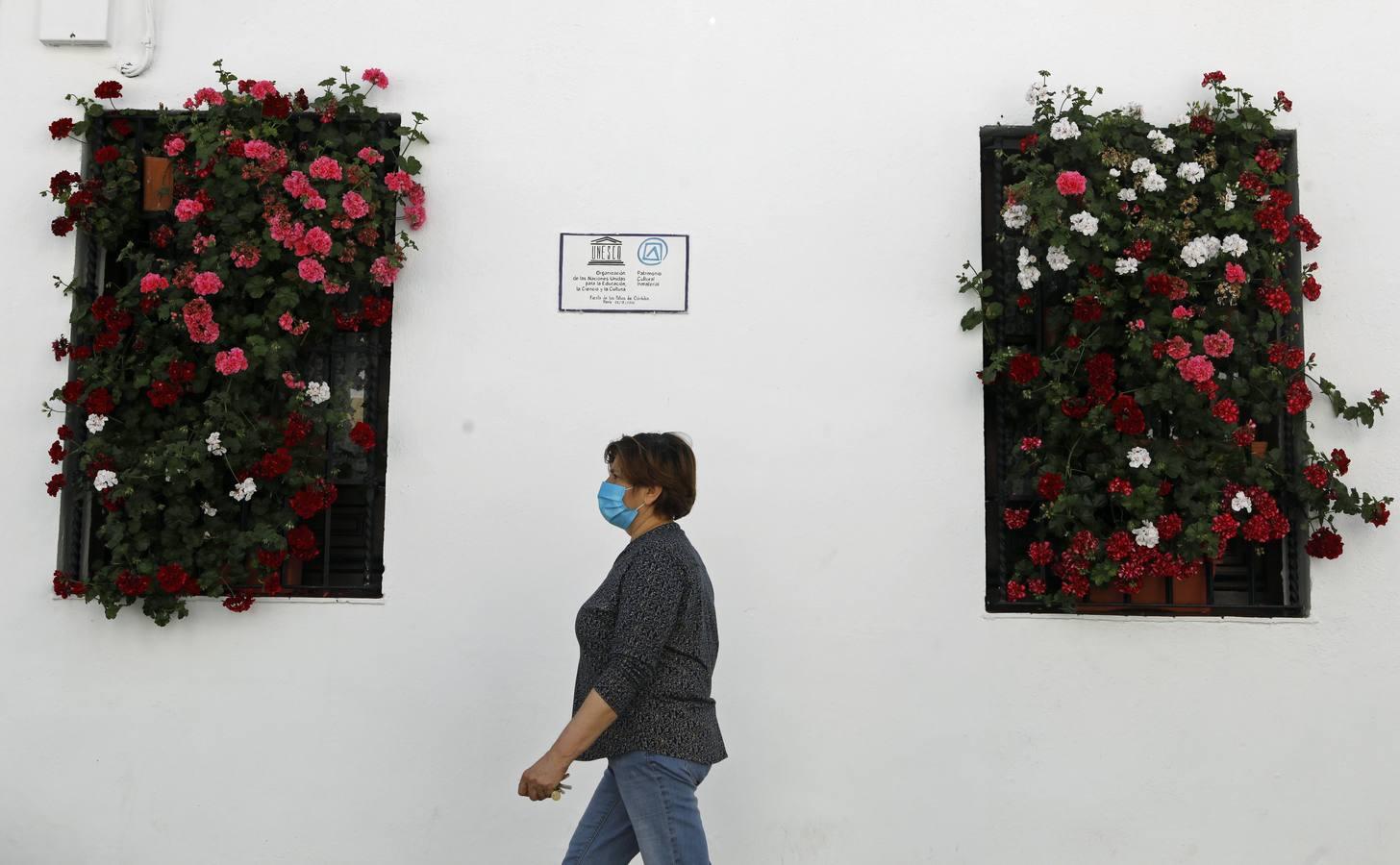 La quietud del Alcázar Viejo de Córdoba, en imágenes