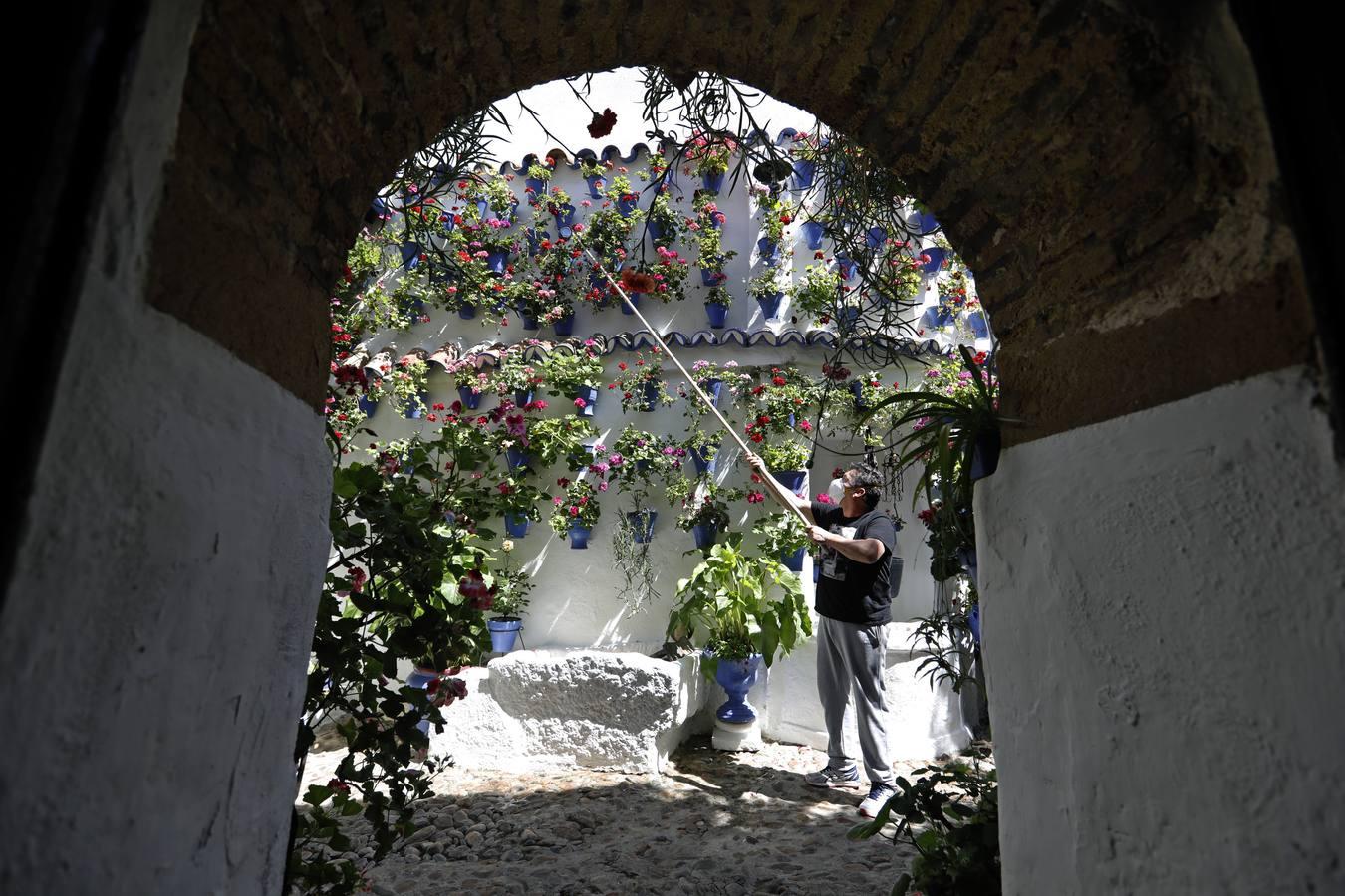 La quietud del Alcázar Viejo de Córdoba, en imágenes