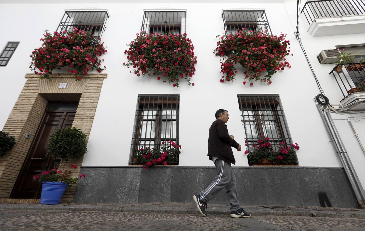 La quietud del Alcázar Viejo de Córdoba, en imágenes