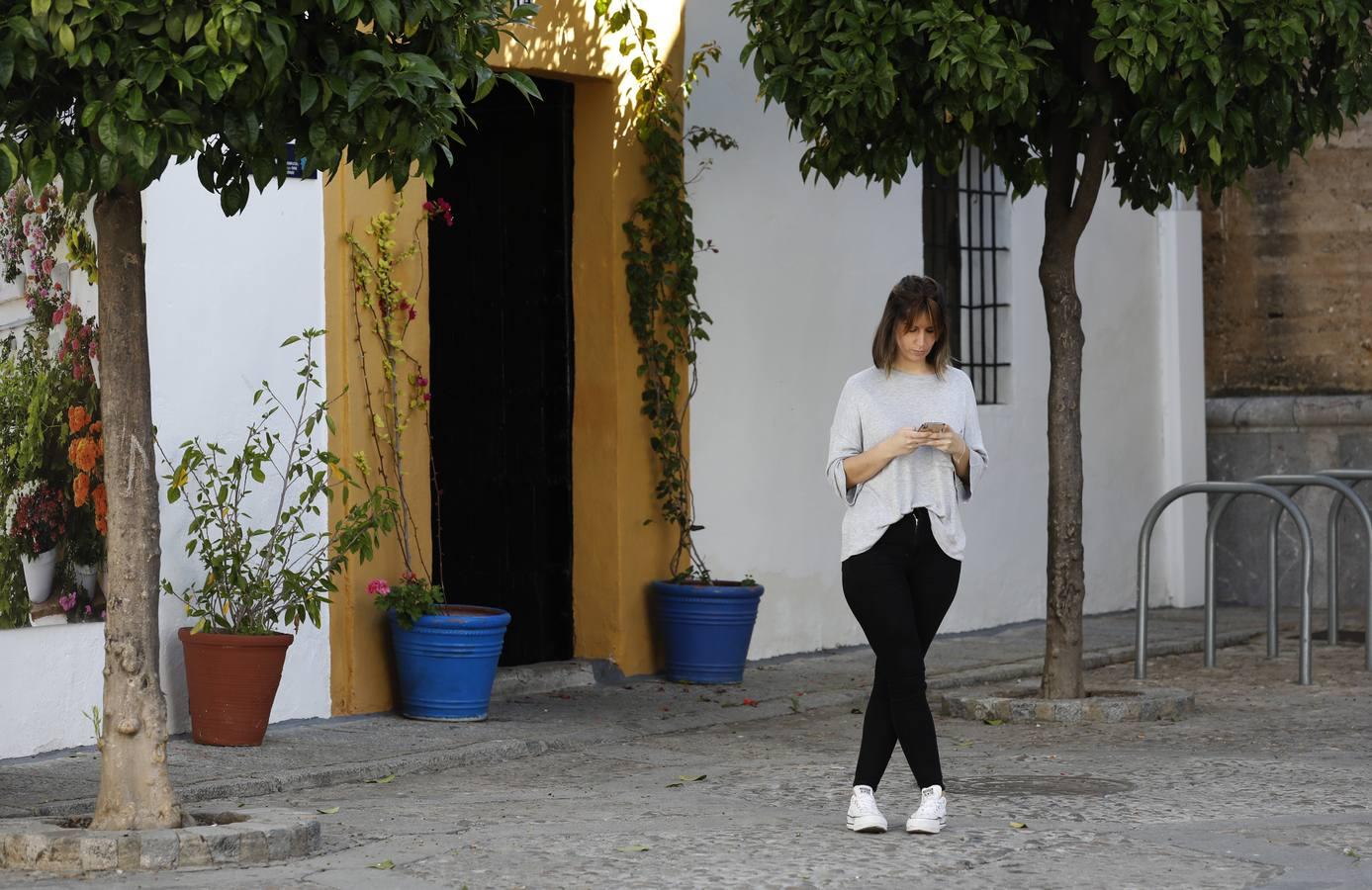 La quietud del Alcázar Viejo de Córdoba, en imágenes