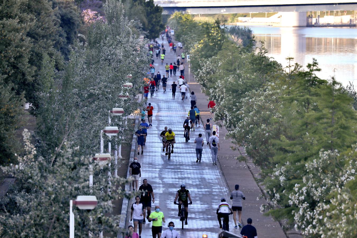 Desescalada Sevilla: Miles de sevillanos toman las calles para hacer deporte