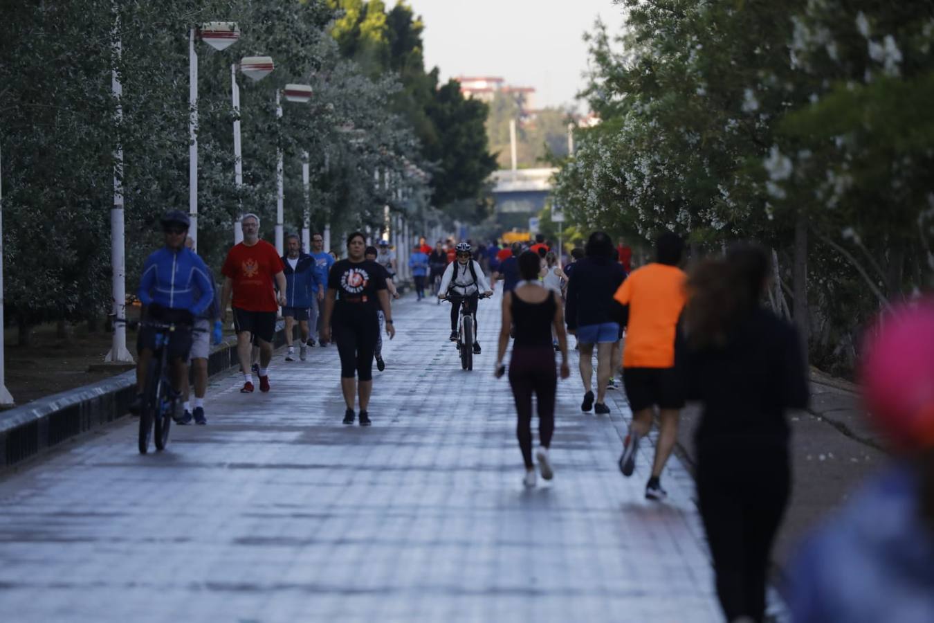 Desescalada Sevilla: Miles de sevillanos toman las calles para hacer deporte