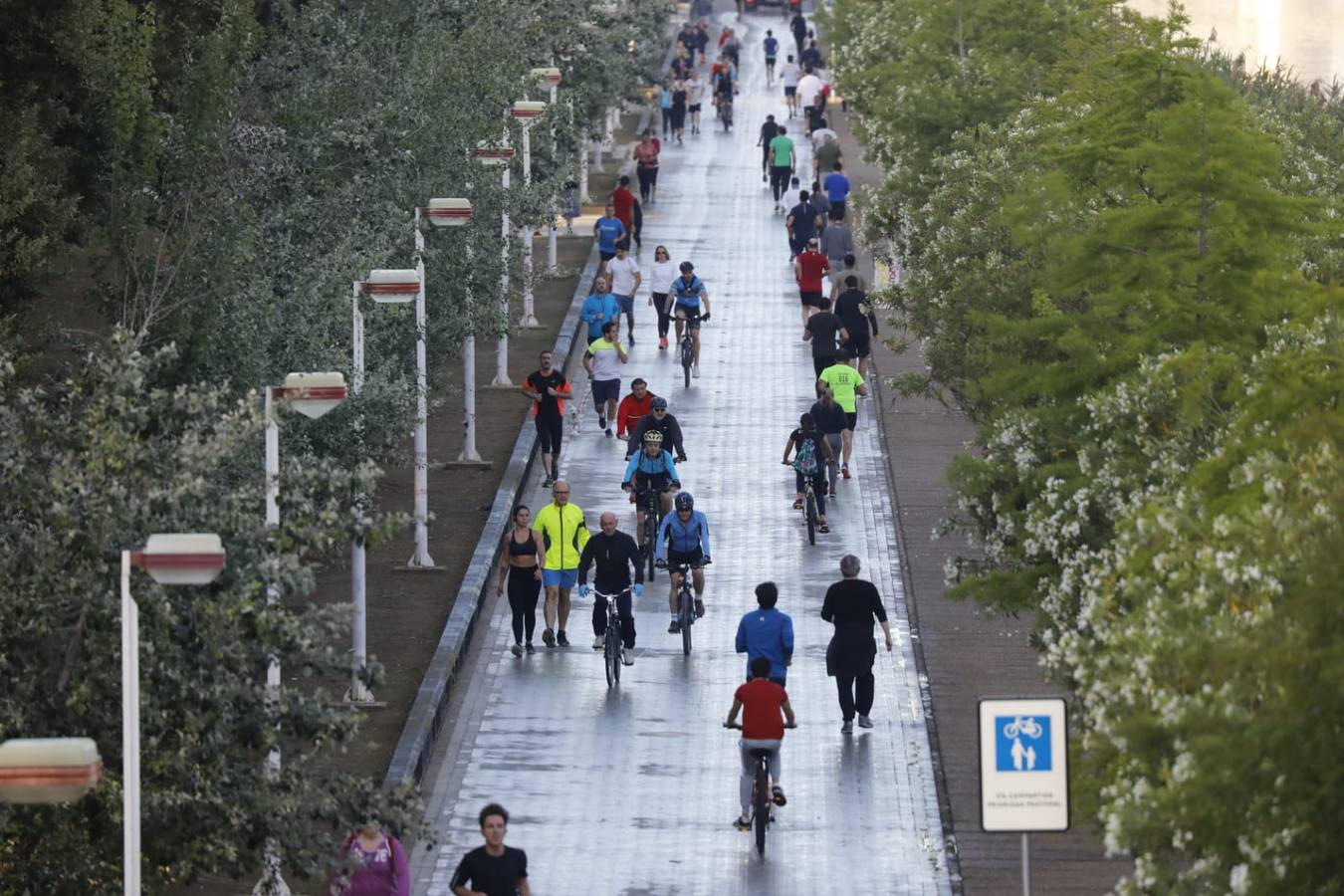 Desescalada Sevilla: Miles de sevillanos toman las calles para hacer deporte