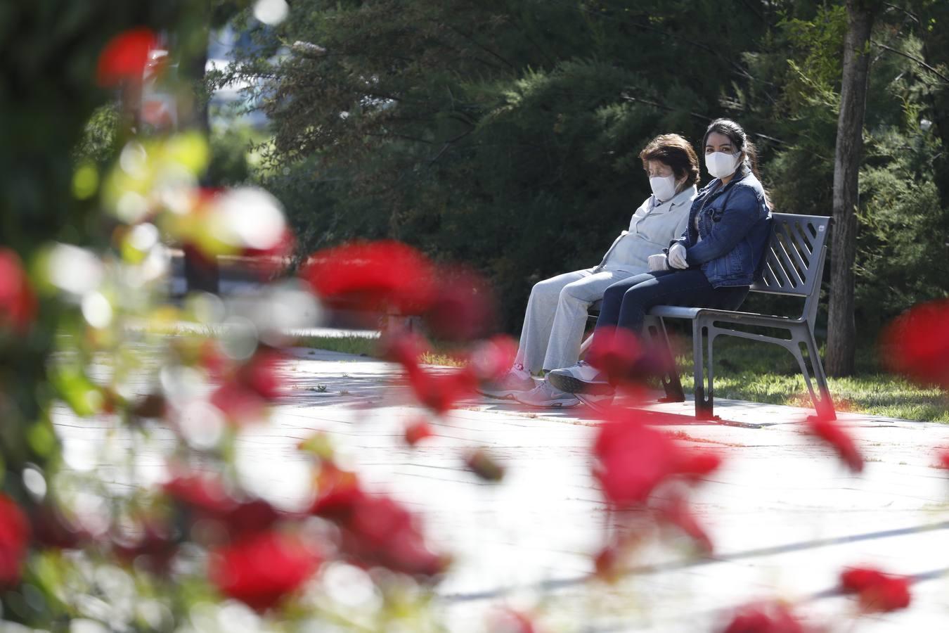 La primera salida de los mayores en Córdoba, en imágenes