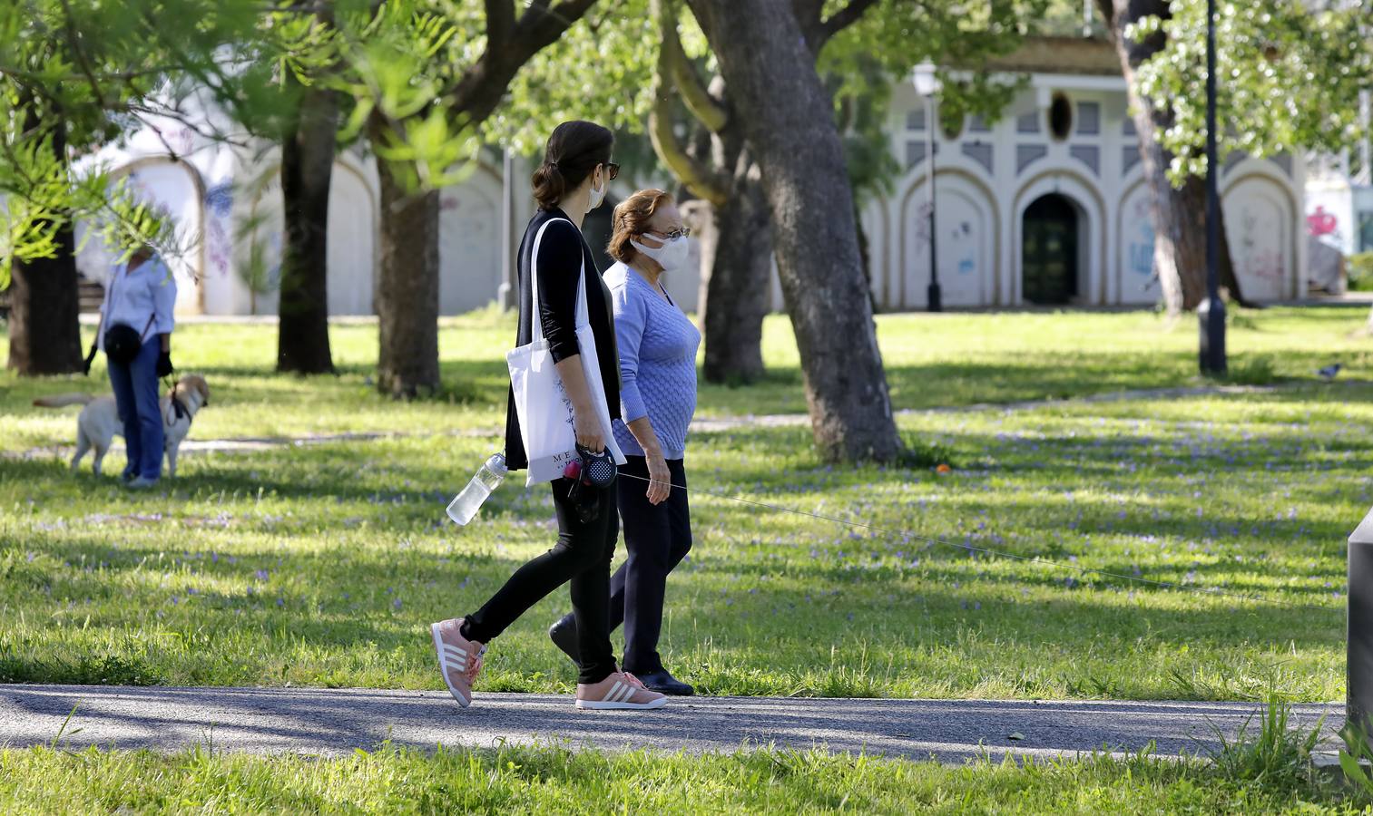 Desescalada Sevilla: Salida de los mayores por las calles de la ciudad