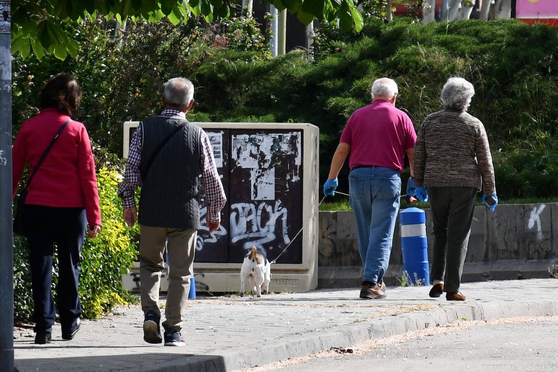 Y llegó la nueva normalidad