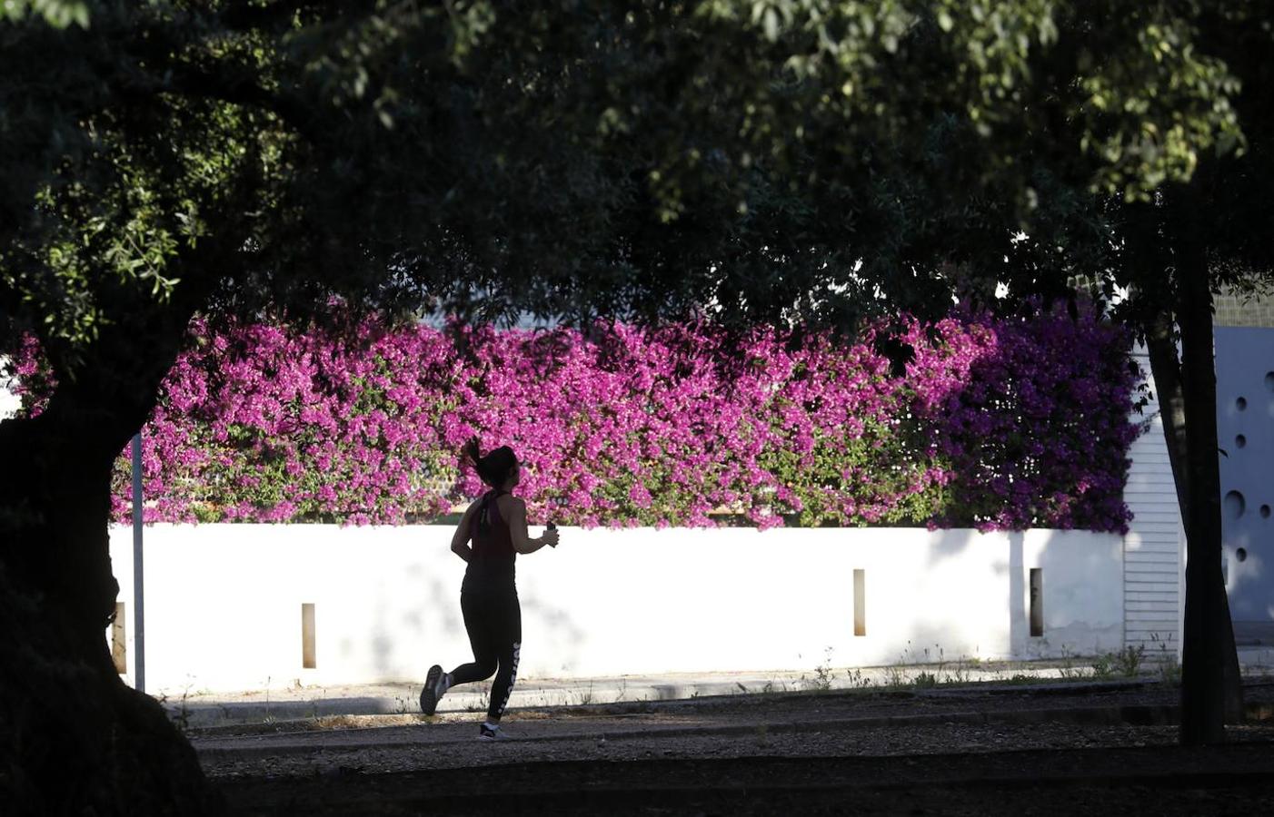 El deporte en el circuito del Tablero de Córdoba, en imágenes