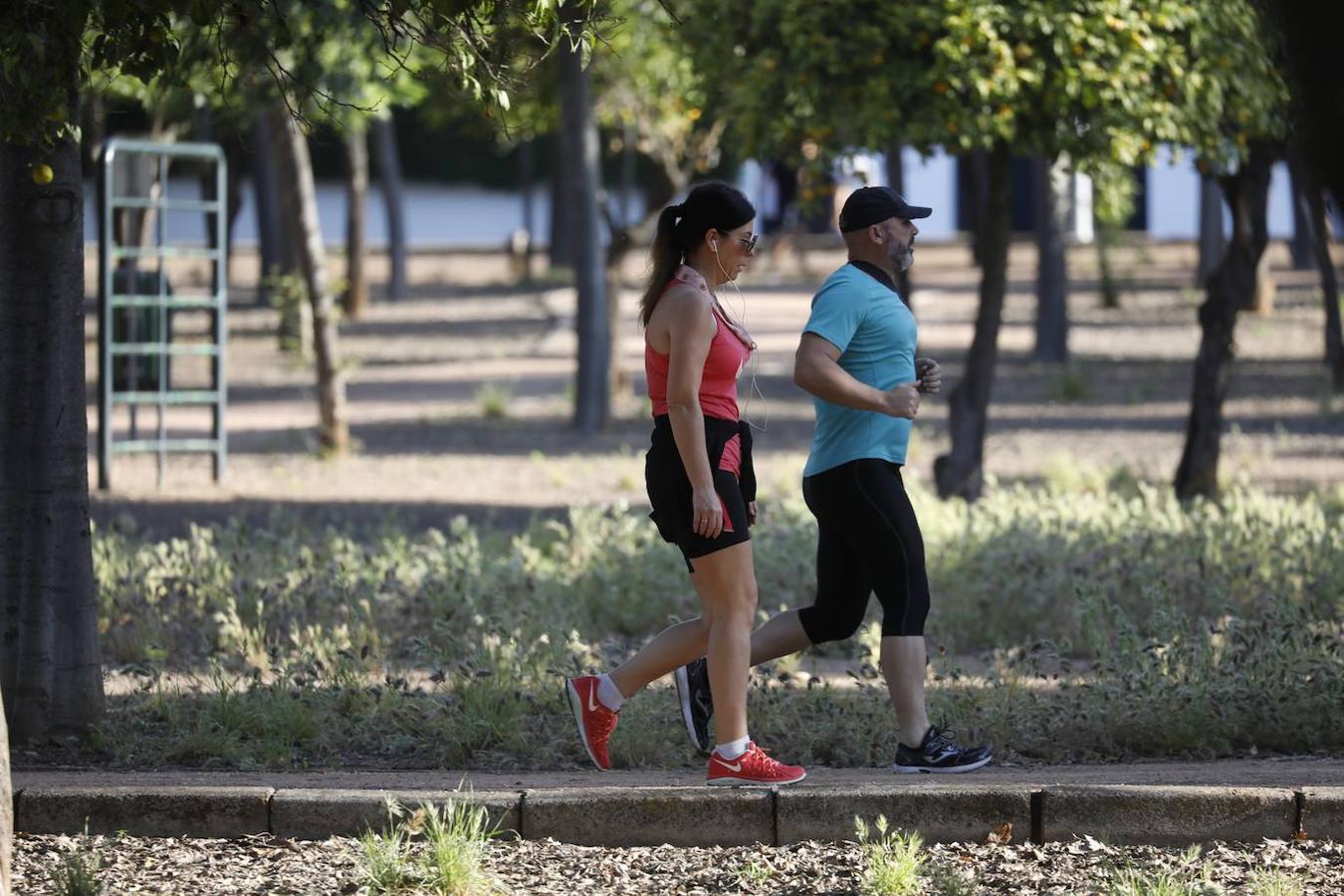 El deporte en el circuito del Tablero de Córdoba, en imágenes