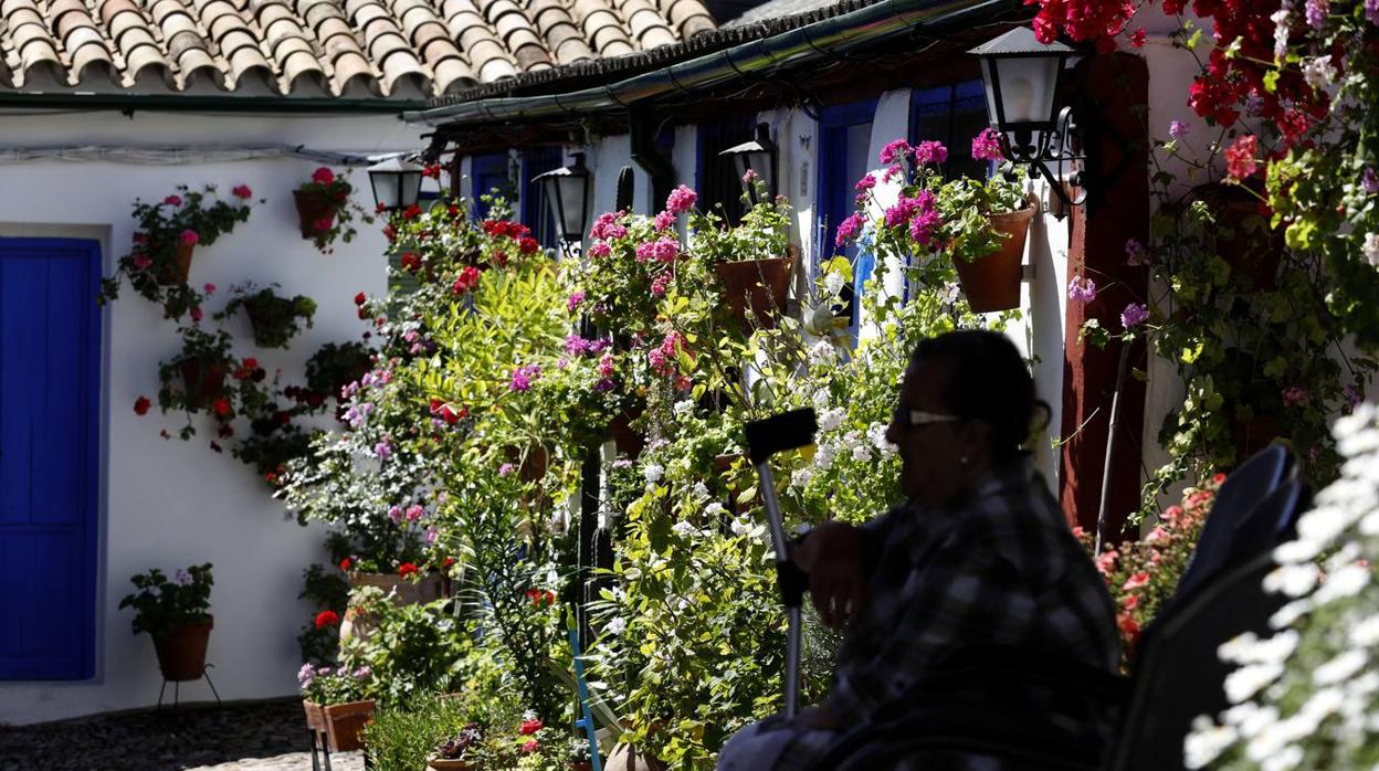 La plenitud primaveral de Córdoba pese al Covid-19 en Marroquíes 6, en imágenes