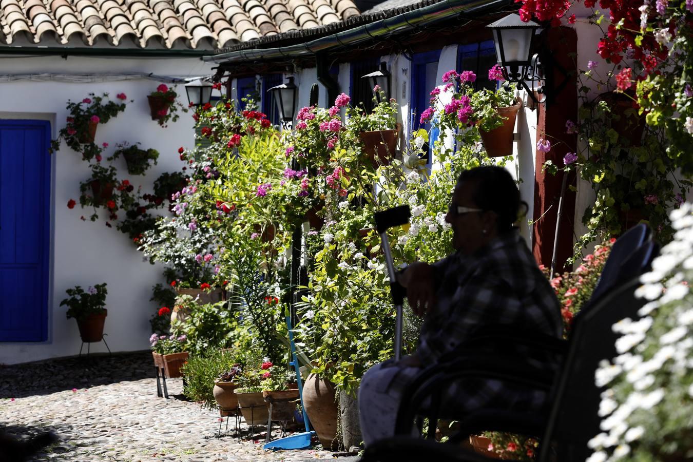 La distancia social de la cal y el añil en el patio de la calle Marroquíes de Córdoba