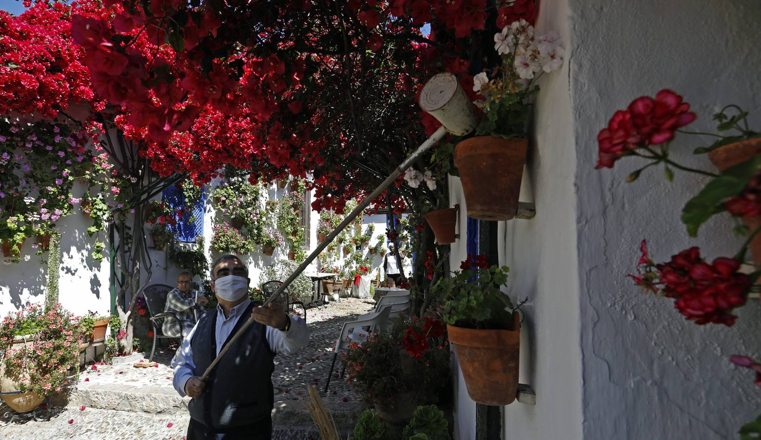 La plenitud primaveral de Córdoba pese al Covid-19 en Marroquíes 6, en imágenes