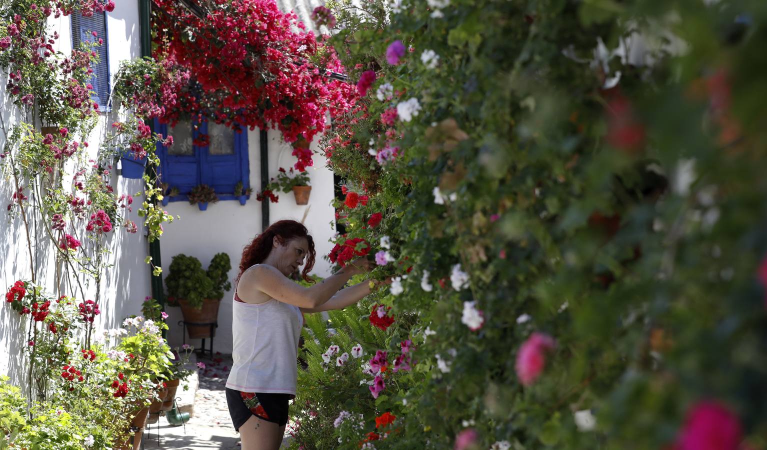 La plenitud primaveral de Córdoba pese al Covid-19 en Marroquíes 6, en imágenes