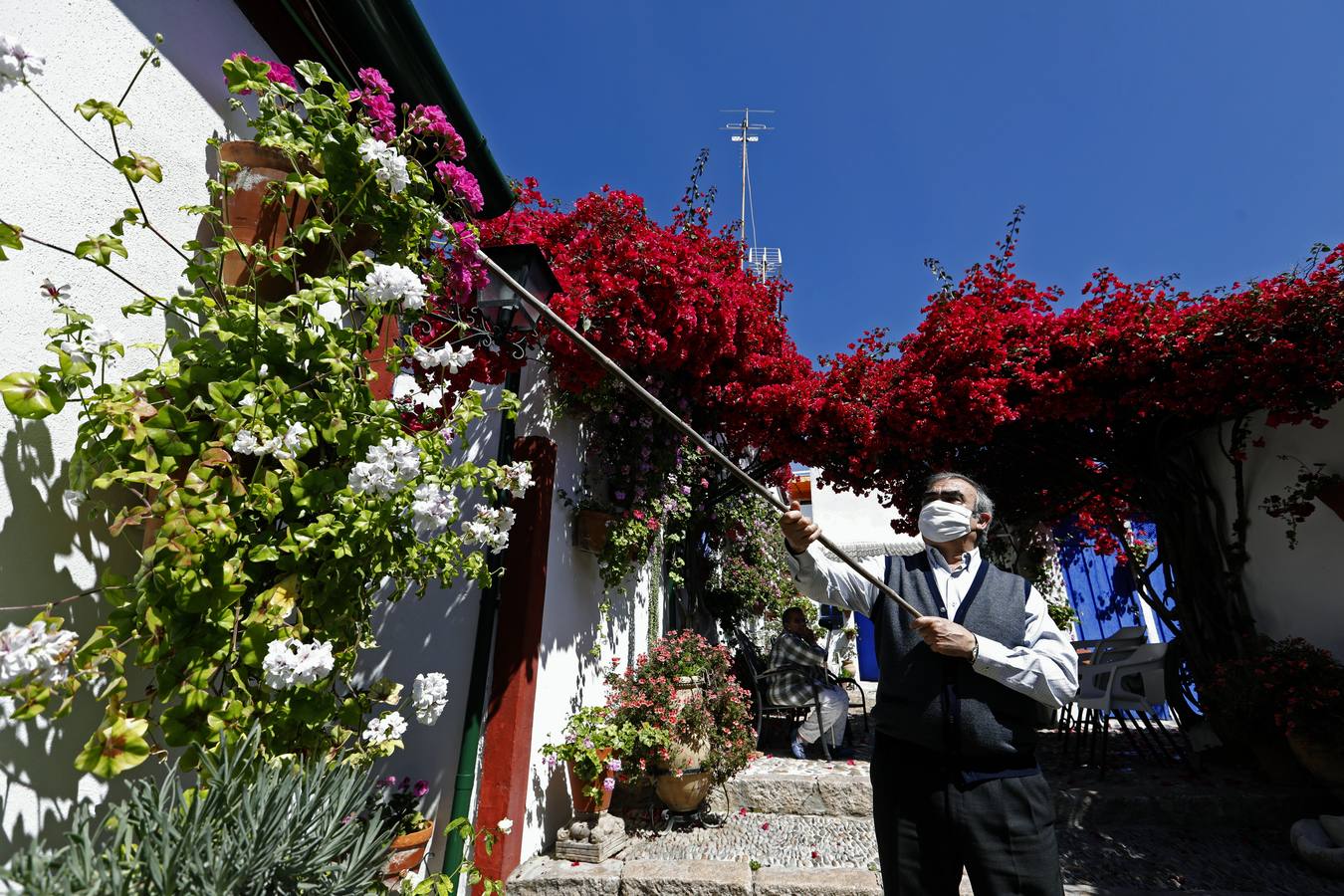 La plenitud primaveral de Córdoba pese al Covid-19 en Marroquíes 6, en imágenes